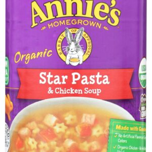 ANNIE'S HOMEGROWN: Organic Star Pasta & Chicken Soup, 14 oz