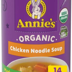 ANNIES HOMEGROWN: Soup Chicken Noodle Organic, 14 oz
