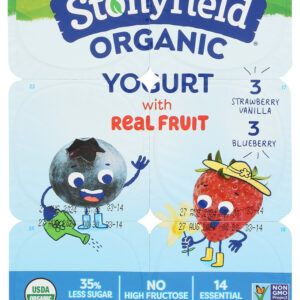 STONYFIELD: YoKids Yogurt Lowfat Organic Blueberry Strawberry Vanilla 6 Count, 24 oz
