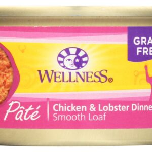 WELLNESS: Adult Chicken and Lobster Canned Cat Food, 3 oz