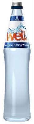 THE WELL: Water Spring, 20.3 fl oz