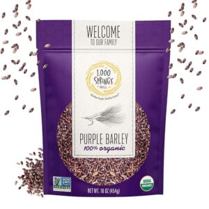 1000 SPRINGS MILL: Purple Barley, 16 oz