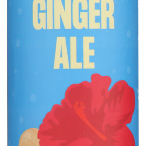 FRESH FIZZ: Hibiscus Ginger Ale, 12 fl oz