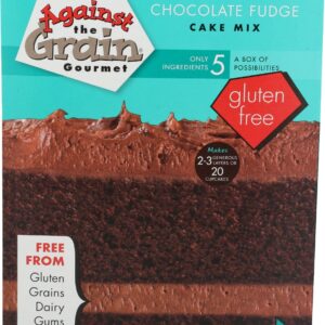 AGAINST THE GRAIN: Epic Chocolate Fudge Cake Mix, 19.75 oz