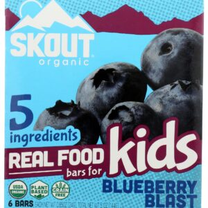 SKOUT: Blueberry Blast Kids Bar, 5.1 oz