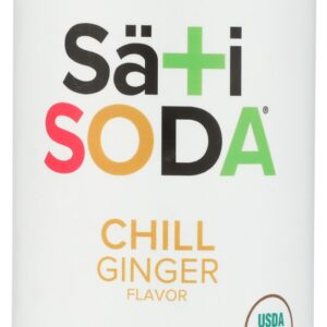 SATI SODA: Organic Chill Ginger Soda, 12 fl oz