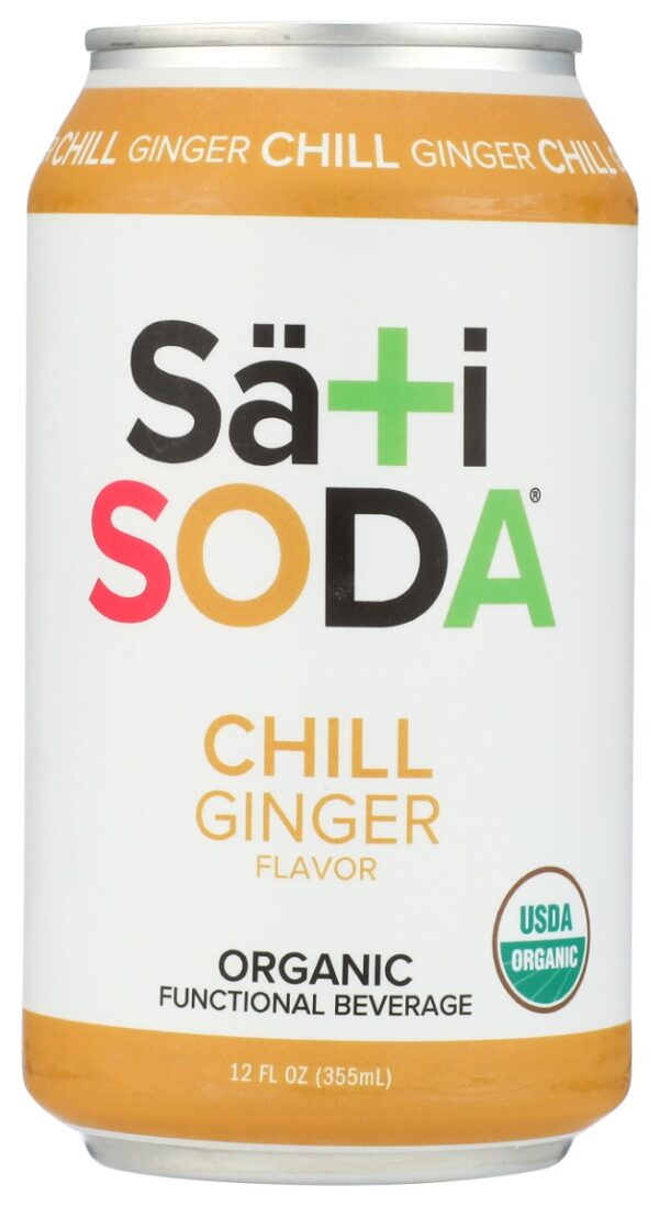 SATI SODA: Organic Chill Ginger Soda, 12 fl oz