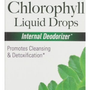 NATURES ANSWER: Chlorophyll Drops, 2 fo