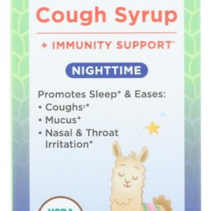 HYLAND: Organic Kids All in One Cough Syrup Nighttime, 4 fo